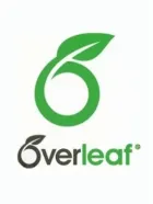 Overleaf AI
