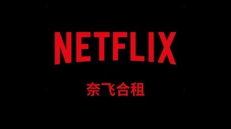 2026主流奈飞合租平台深度评测：Netflix 账号拼车避坑全指南