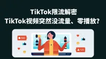 TikTok限流?解密为什么TikTok视频突然没流量、0播放(附恢复技巧)