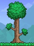 泰拉瑞亚【steam版】