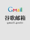 Google (USA) Email Account