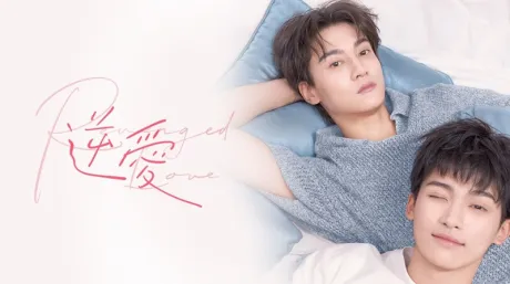《逆爱》RevengedLove高清完整版在哪看?超全面平台说明